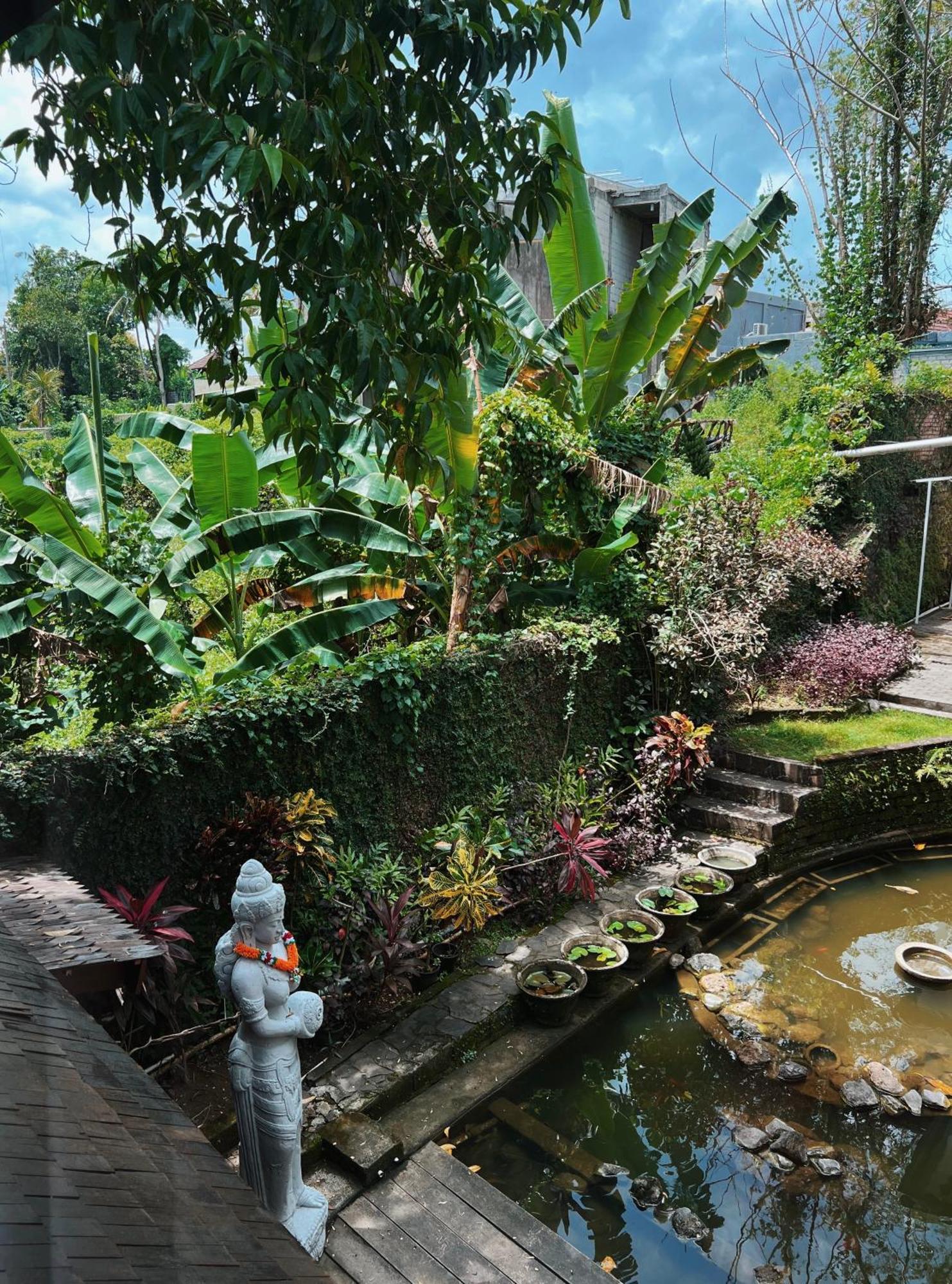 קנגו Villa Neshama מראה חיצוני תמונה